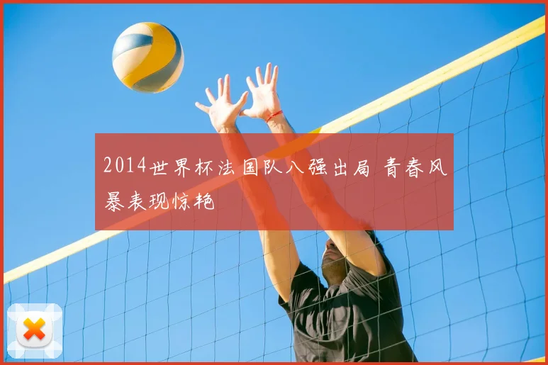 2014世界杯法国队八强出局 青春风暴表现惊艳